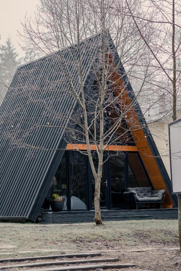 The Palo Cabins Predeal Bagian luar foto